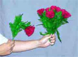 (image for) 3 In 1 Sleeve Bouquet - Click Image to Close